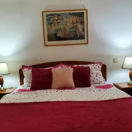 Apartment Elisabeta City *